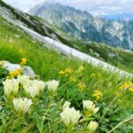 登山ツアーガイド