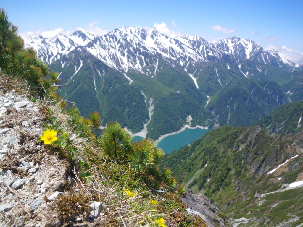 針ノ木サーキット登山ツアー