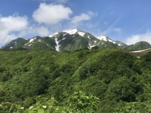 越後駒ヶ岳ヤマンザイ