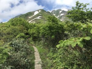 越後駒ヶ岳ヤマンザイ